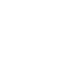 ce logo Lubbock